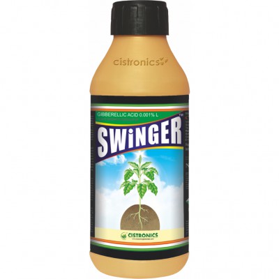 Swinger